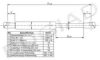 PEUGE 8731P8 Gas Spring, rear windscreen